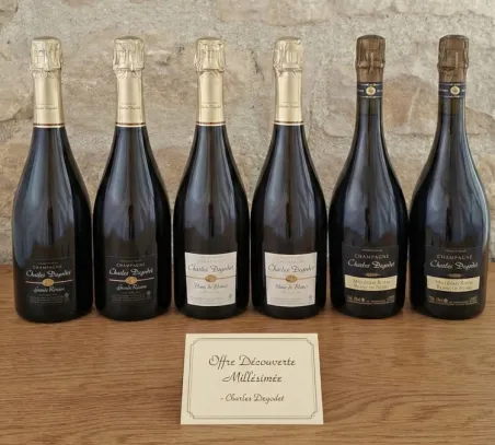 Cartone Scoperta Champagne Millesimato Charles Degodet - Selezione Prestigio