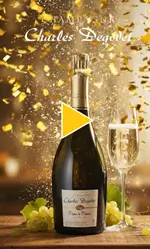 Best Wishes 2026 - Champagne Charles Degodet
