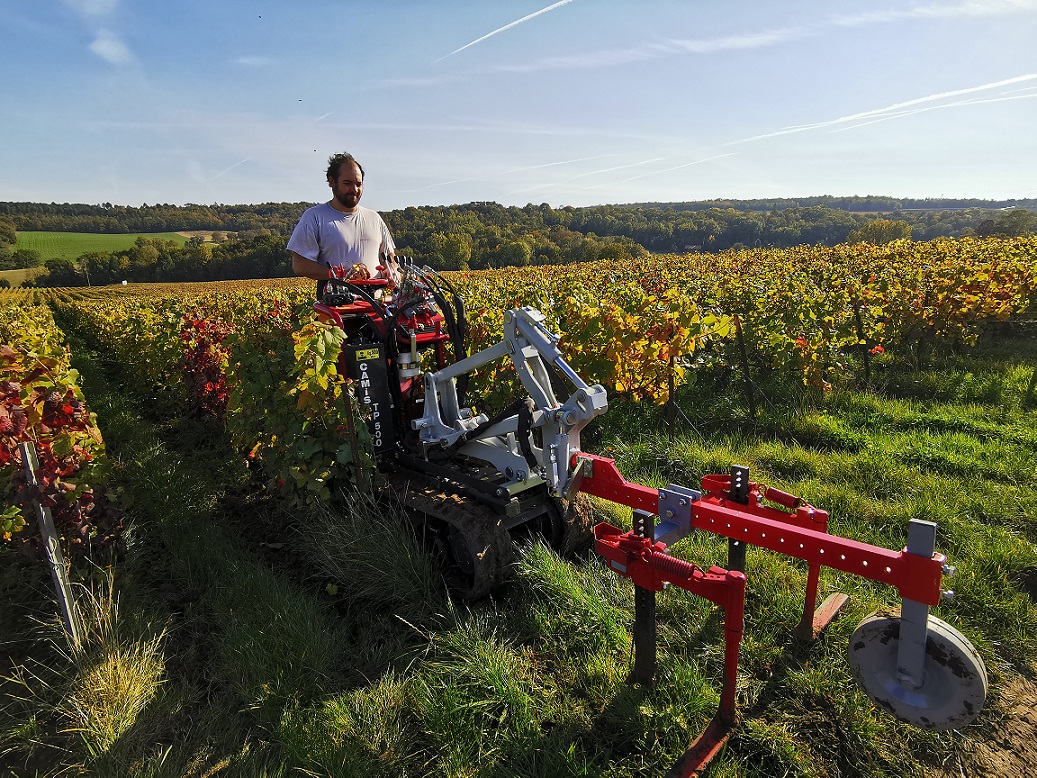 Vigne Charles Degodet